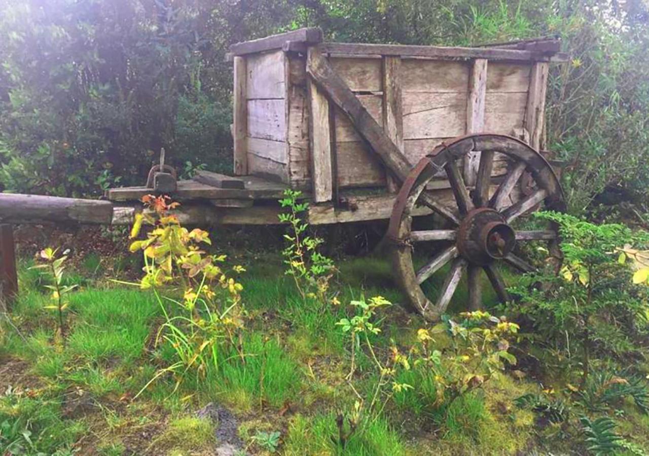 Cabanas Los Cantos Del Chucao Puerto Varas Luaran gambar
