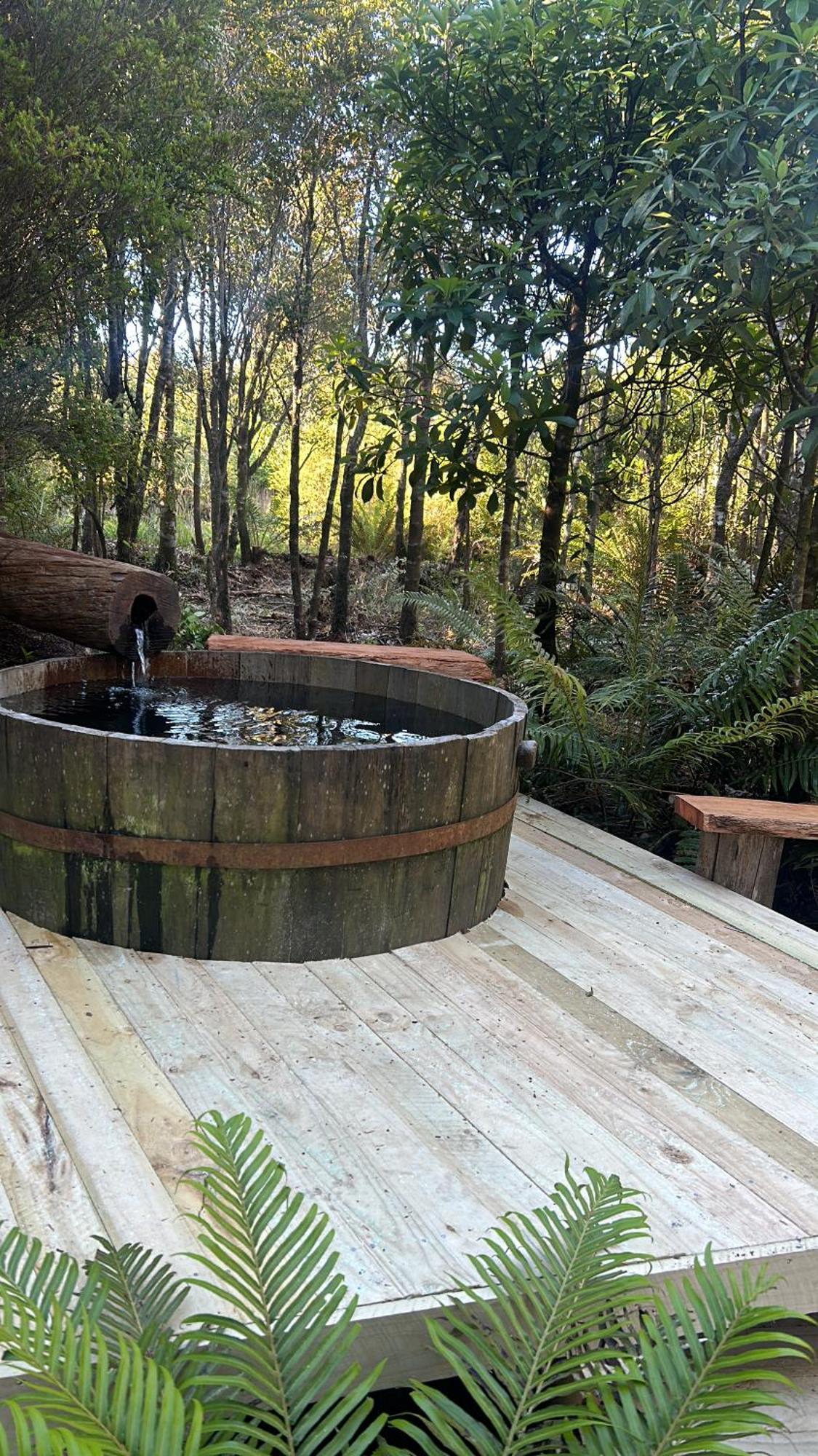 Cabanas Los Cantos Del Chucao Puerto Varas Luaran gambar